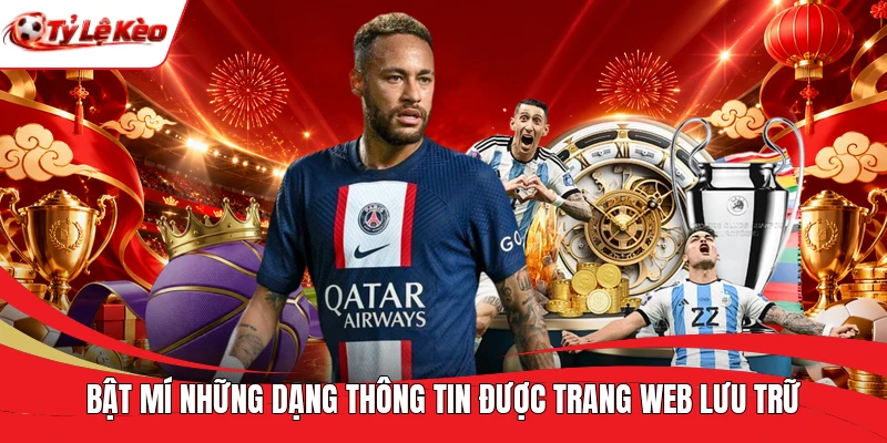 Bật mí những dạng thông tin được trang web lưu trữ