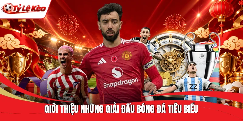 Giới thiệu những giải đấu bóng đá tiêu biểu